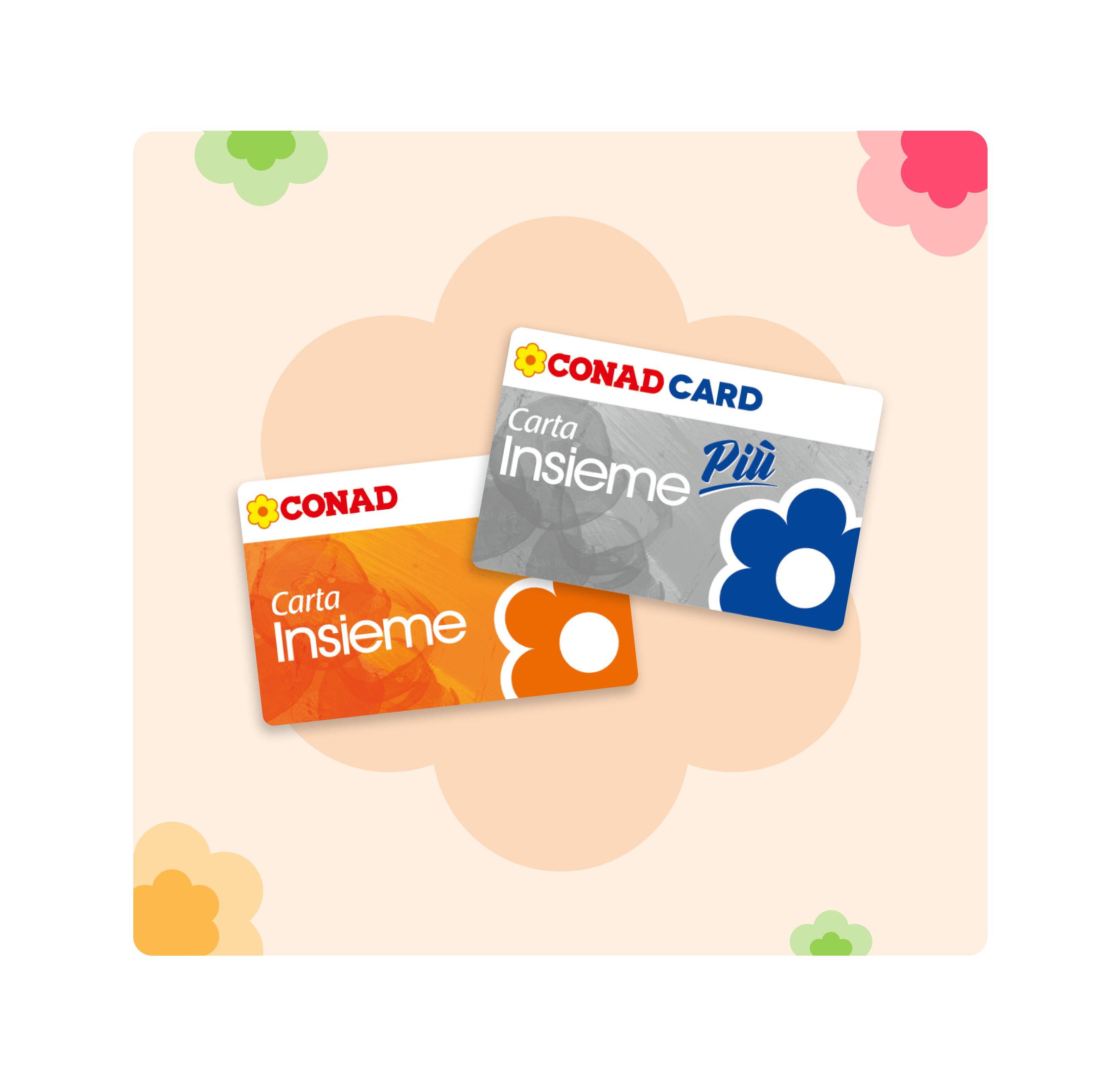 www.roqenavix.pro