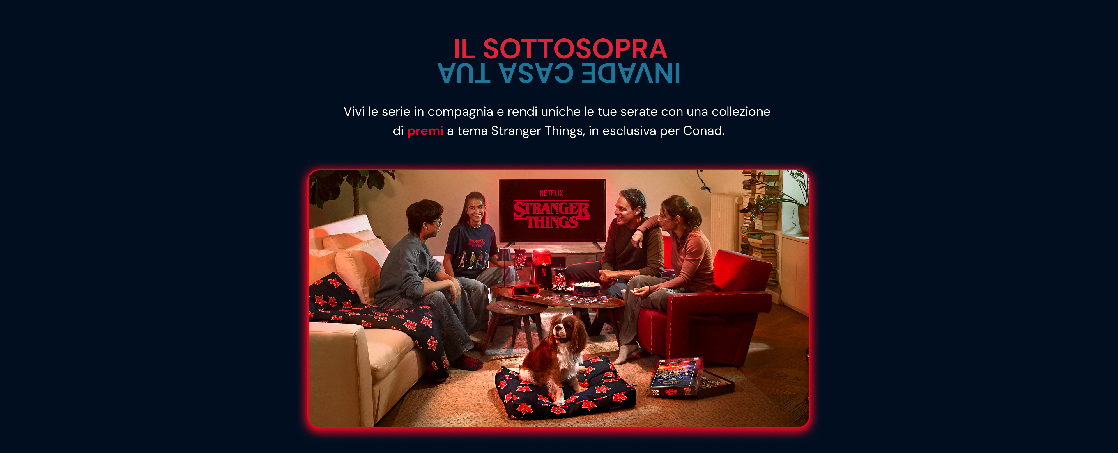 www.roqenavix.pro