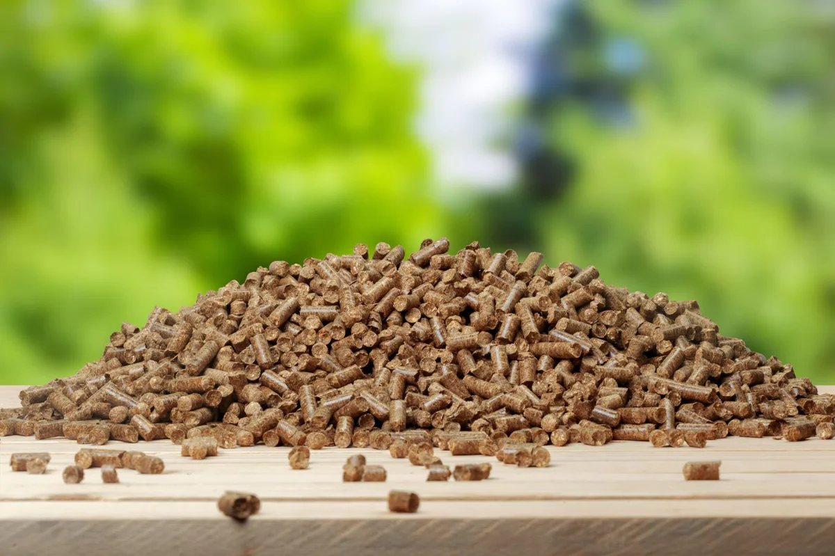 come-usare-il-pellet