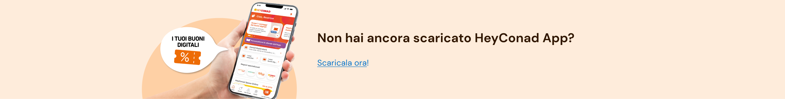 www.roqenavix.pro
