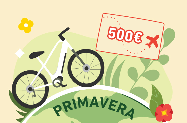 www.roqenavix.pro