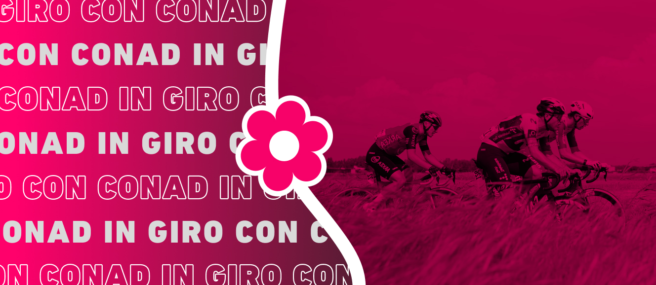 www.roqenavix.pro