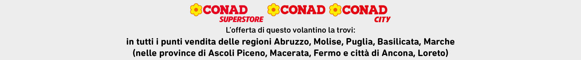 www.roqenavix.pro