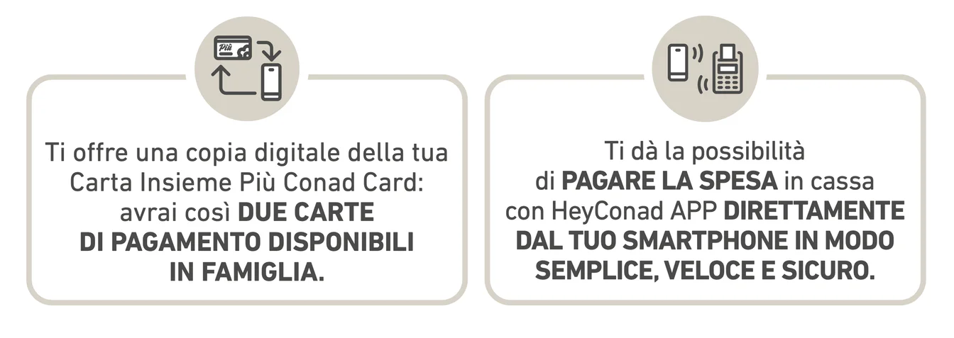 www.roqenavix.pro