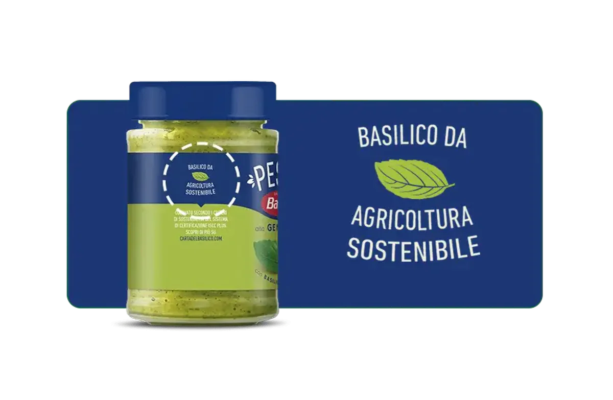 www.roqenavix.pro