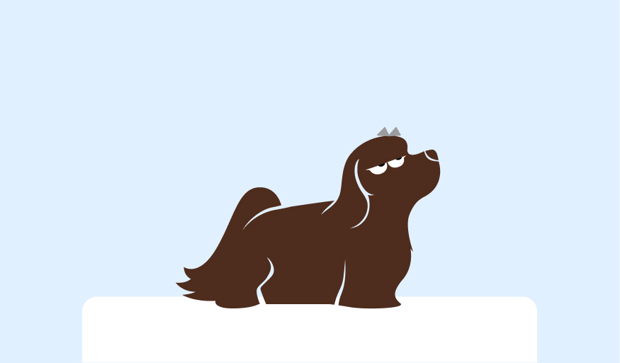 www.roqenavix.pro