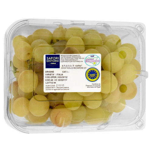 SAPORI & DINTORNI CONAD Uva da Tavola di Mazzarrone I.G.P. Italia 1 kg-image