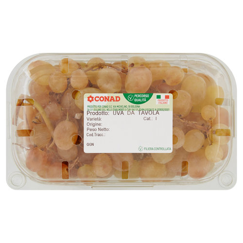 CONAD Percorso Qualità Uva da Tavola Regina Italia 750 g-image